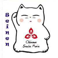 logo-seinenkai-santa-maria-sao-paulo-sp200x200