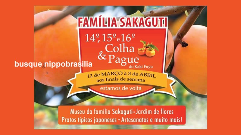 16° Colha e Pague do Caqui Fuyu 2022 - Sítio Sakaguti - Piedade-SP