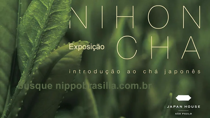 Exposição 'NIHONCHA – introdução ao chá japonês' Japan House São Paulo-SP