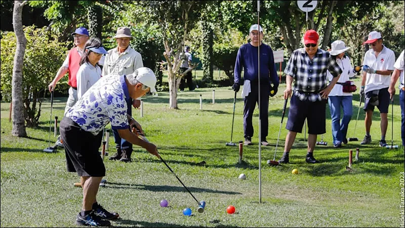 Venha praticar o Mallet Golf (por Rubens Nakano)