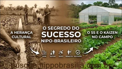 O Segredo por trás do Sucesso Japonês no Brasil: 5S e Kaizen muito antes da Indústria
