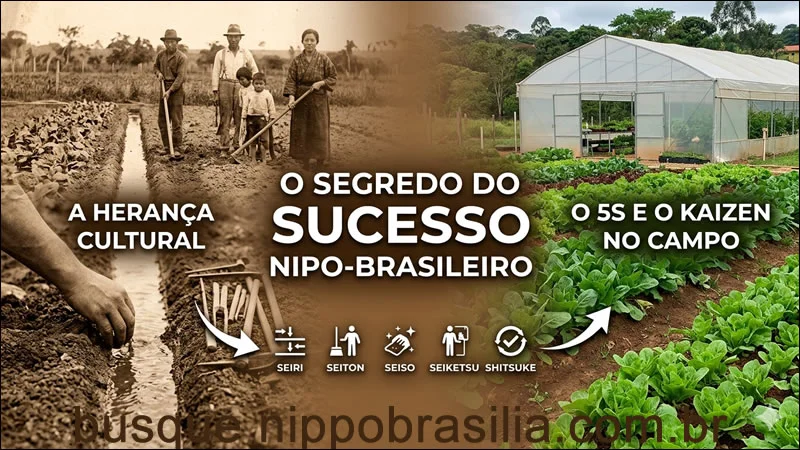 O Segredo por trás do Sucesso Japonês no Brasil: 5S e Kaizen muito antes da Indústria